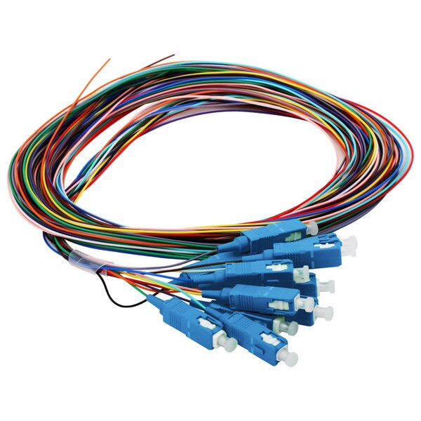 12 Fiber Pigtail, SC/UPC, 900 µm, 9 µm OS2, 3m